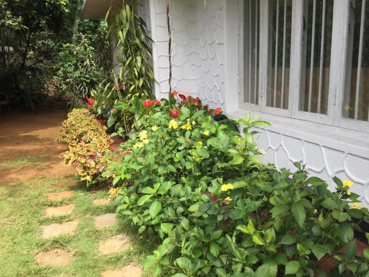 Ella Relax Inn المظهر الخارجي الصورة