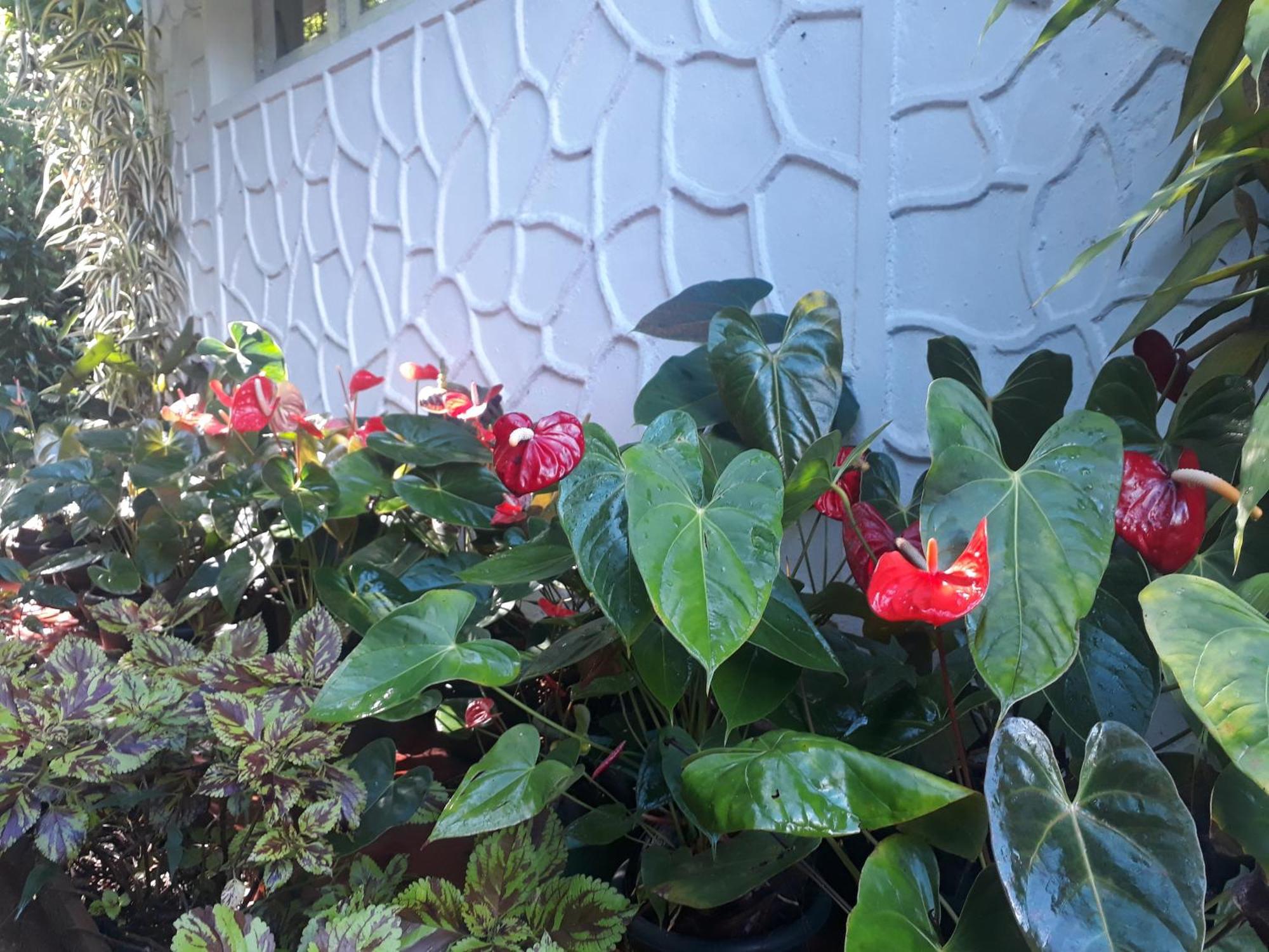 Ella Relax Inn المظهر الخارجي الصورة