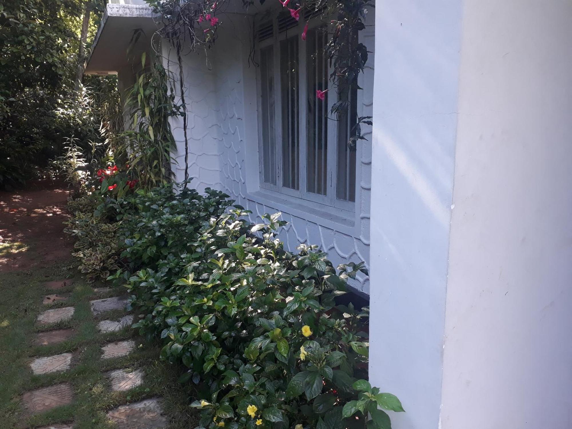 Ella Relax Inn المظهر الخارجي الصورة