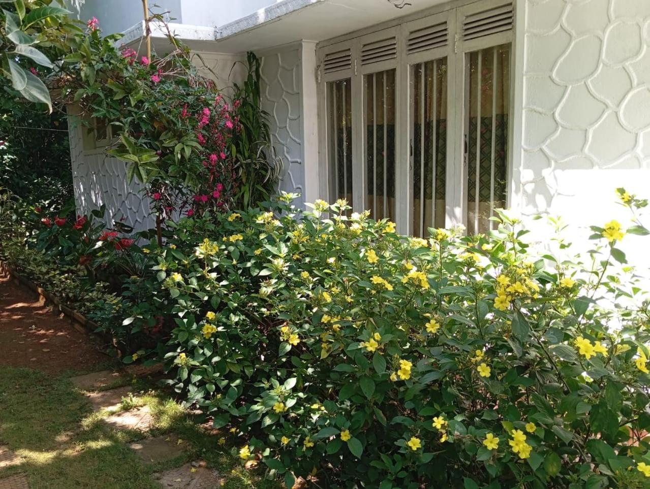 Ella Relax Inn المظهر الخارجي الصورة